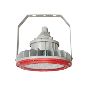 BZD180-101系列防爆免維護(hù)LED照明燈(IIC)